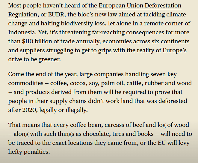 Krypto Insider 💫 tweet media