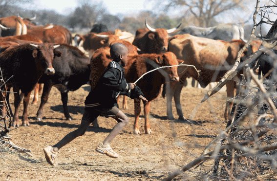 Outsider tweet media