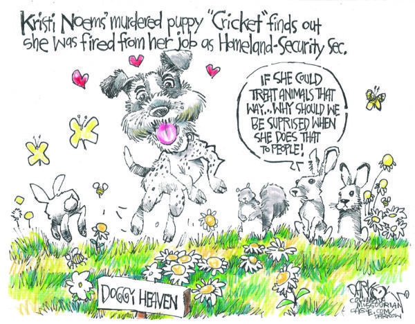 The Oklahoma Observer tweet media