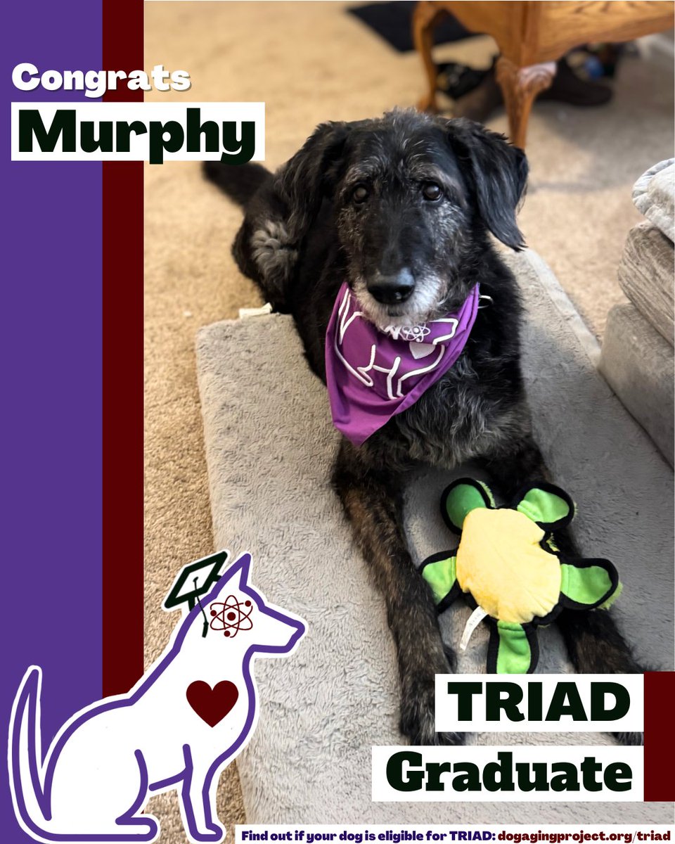 Dog Aging Project tweet media