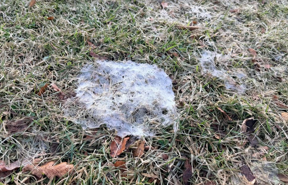 Anwar Knight tweet media