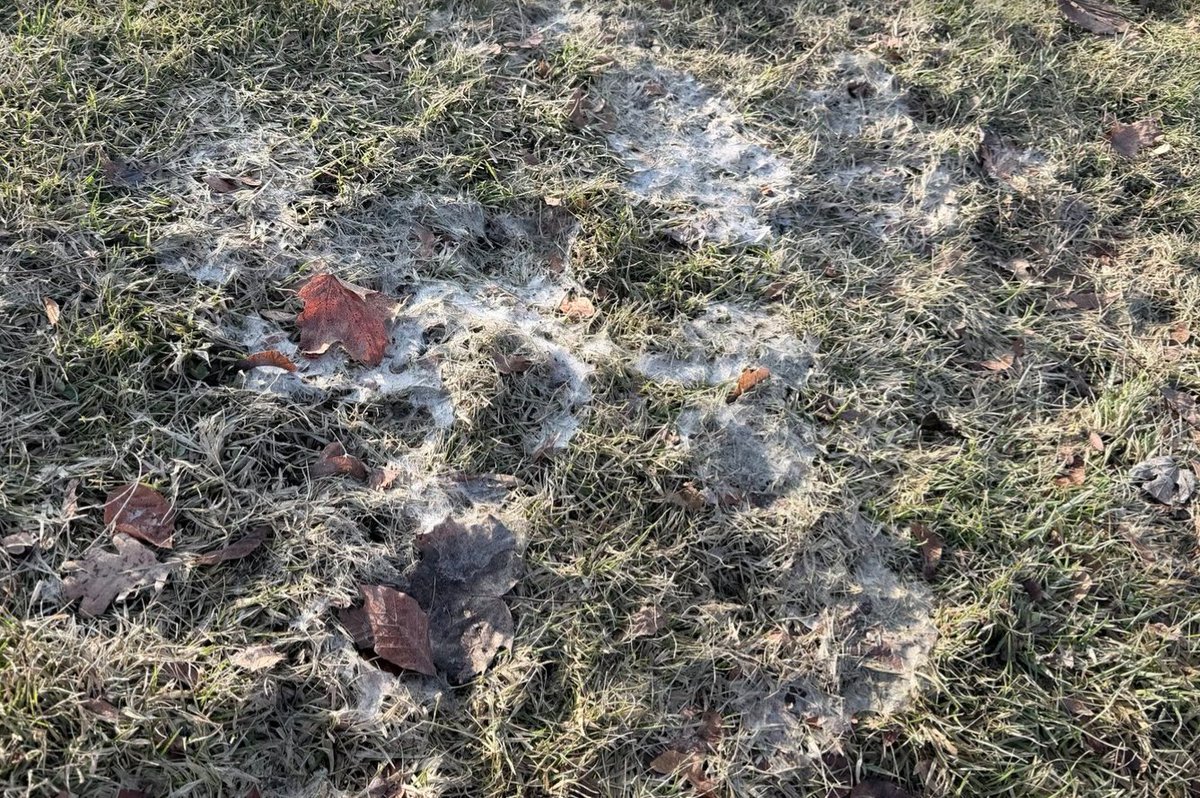 Anwar Knight tweet media