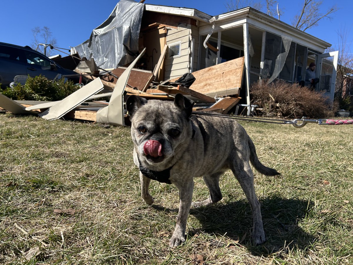 First Response Team tweet media