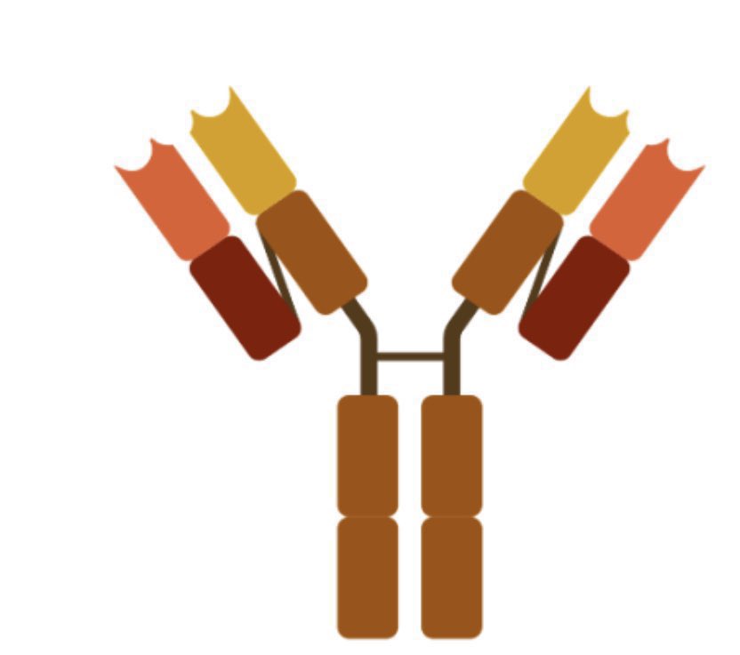 Abdulhamid tweet media