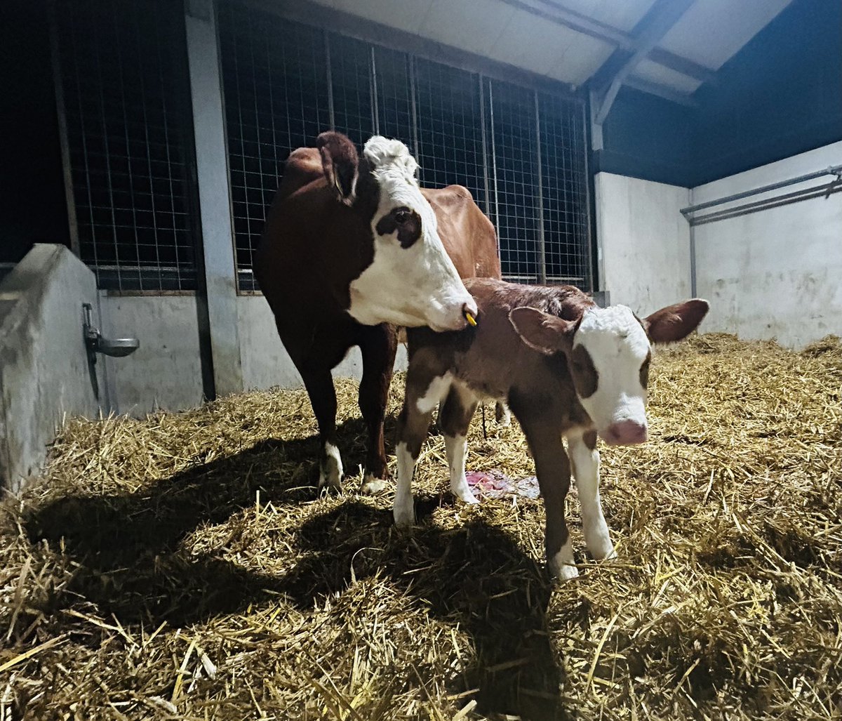 Geertjan Kloosterboer tweet media