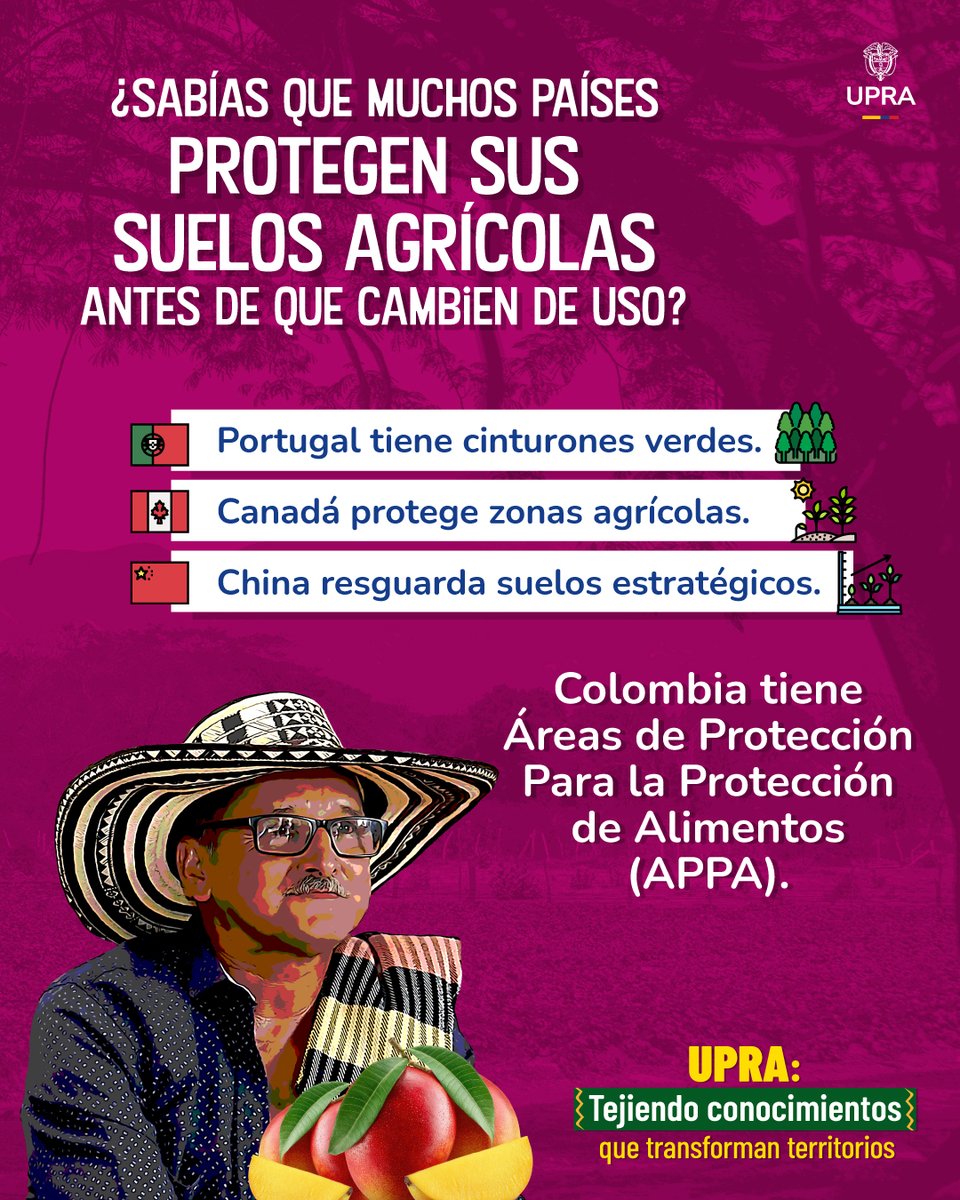🌎🌱 ¿Sabías que en varios países del mundo existen figuras para proteger los suelos donde se produce la comida? 🌾🥕

No se trata de frenar el desarrollo 🚧
Se trata de planificarlo 🗺️📍

En Colombia 🇨🇴, las Áreas de Protección para la Producción de Alimentos – #APPA 🌾🛡️
