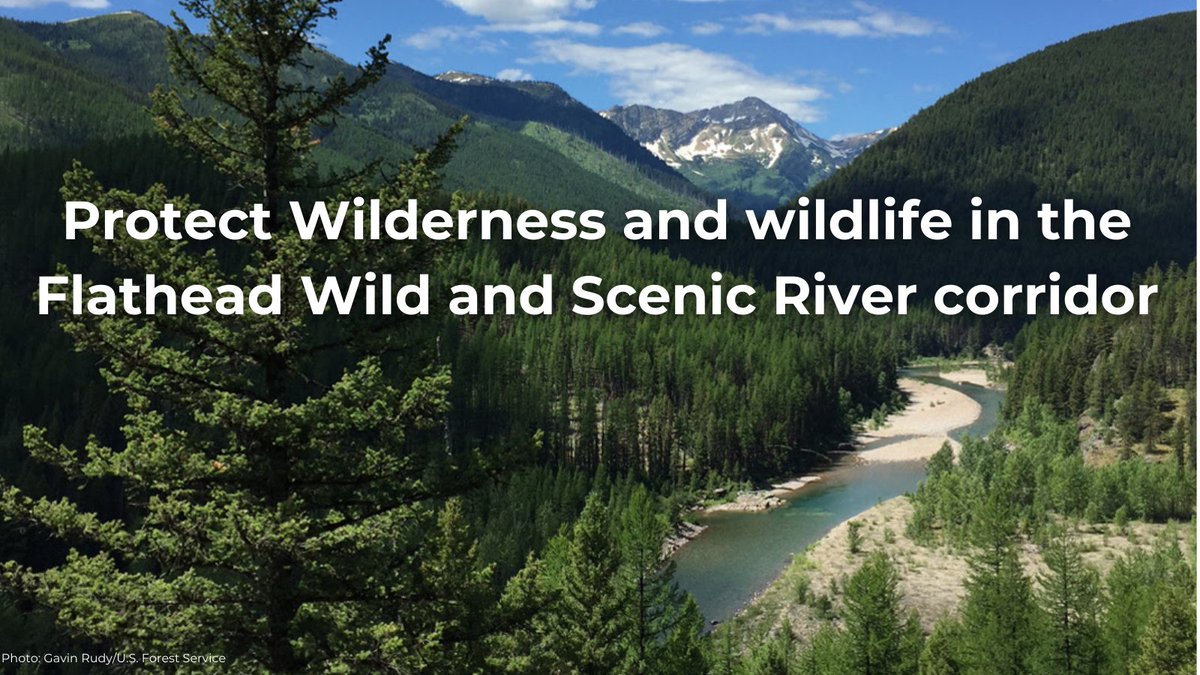 Wilderness Watch tweet media