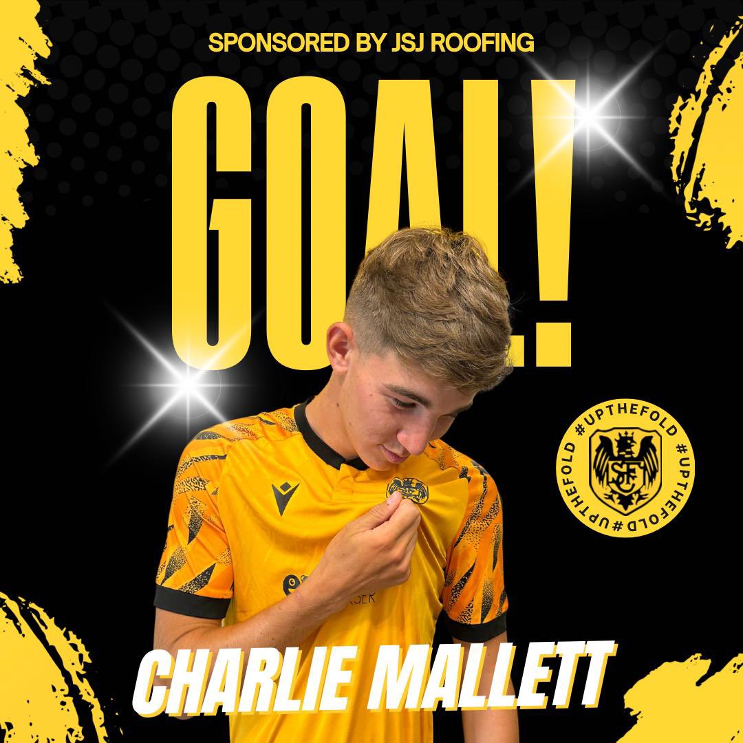 Stotfold Reserves tweet media