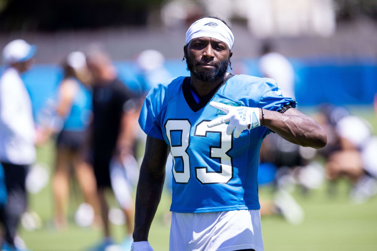 Cat Crave tweet media