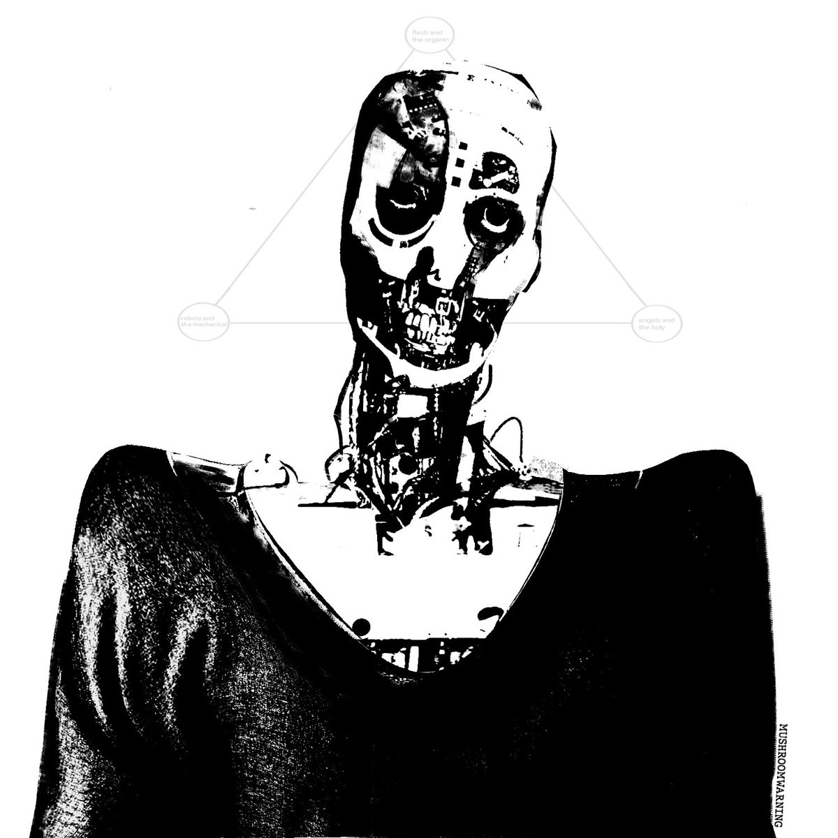 Photobashes of Dr. W.D. Gaster, pre and post-shatter