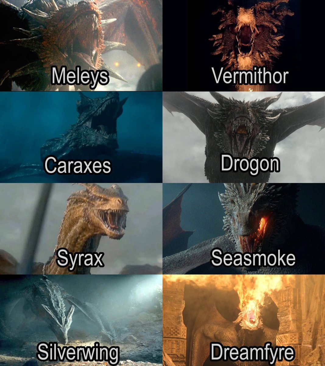 Dhaboy 😎 tweet media