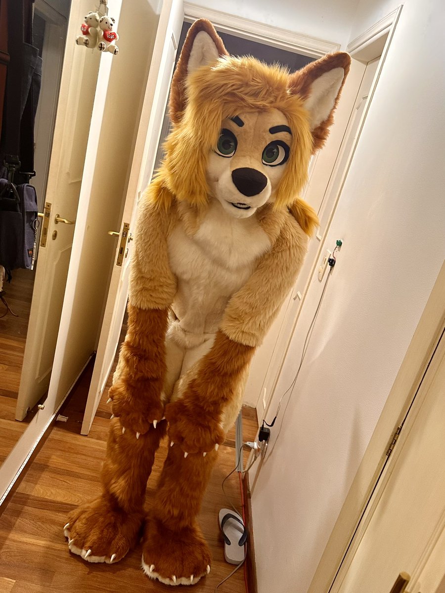 Renn 🍁 tweet media