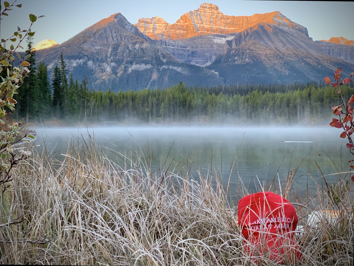 YourSmartAsianFriend tweet media