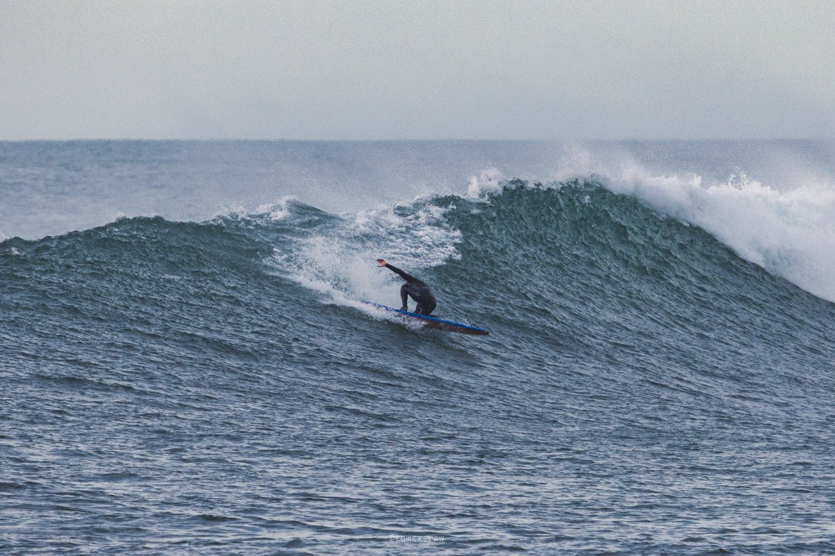 Tom Citoleux tweet media