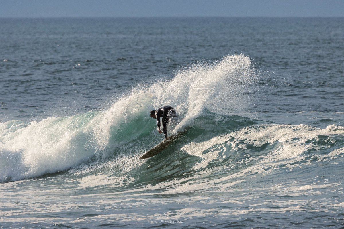 Tom Citoleux tweet media