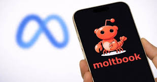 AI Overlords Alpha tweet media