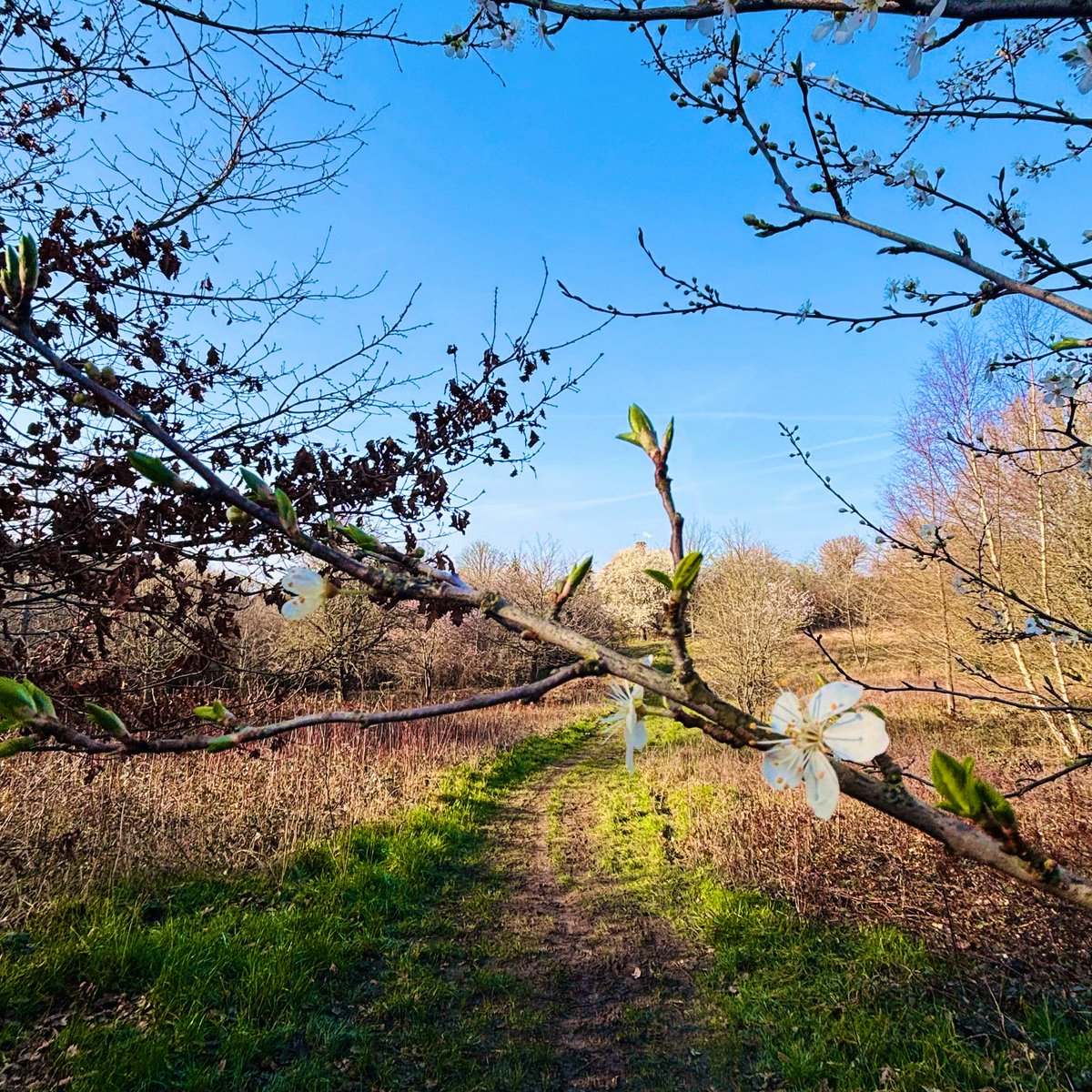 Carl #AlwaysMore 📸 tweet media