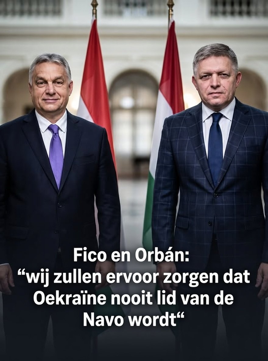 Eelco Van Hoecke tweet media