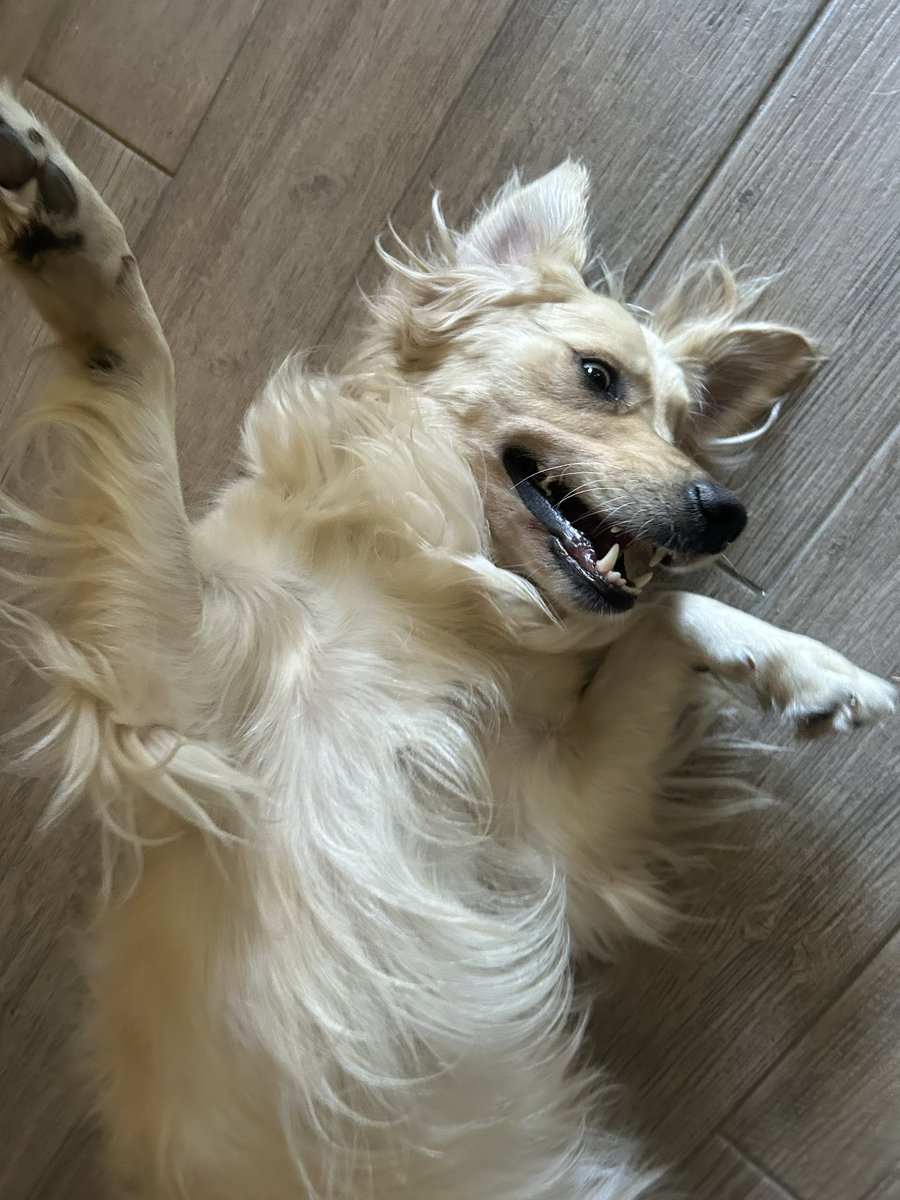 Delλyed😼 tweet media