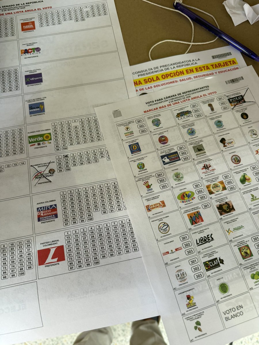 Hago un llamado a la comunidad internacional, se nos robaron la curul afro.

Yo voté por <a href="/MiguelPoloP/">MIGUEL ABRAHAM POLO POLO</a> y en el impreso, no aparece el voto. Como pueden observar no me salí de la casilla como para pensar de que lo pudieron anular.

Colombianos, es un masivo fraude electoral.