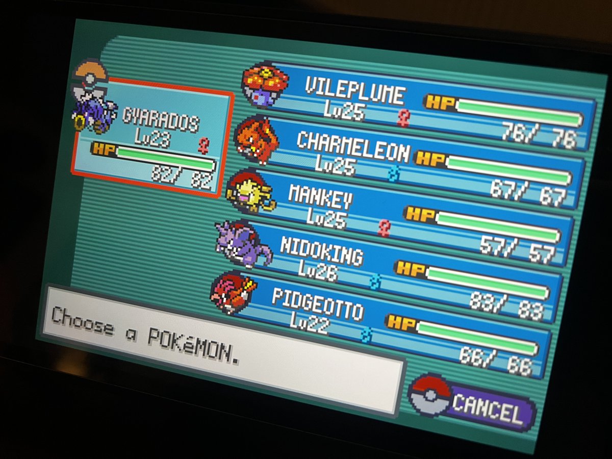 D A Z E E L tweet media