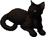 🌈⚠️ tweet media