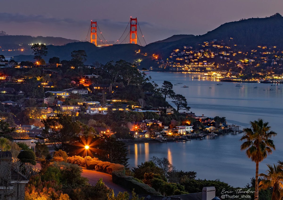 ₕₐₘₚₜₒₙ tweet media