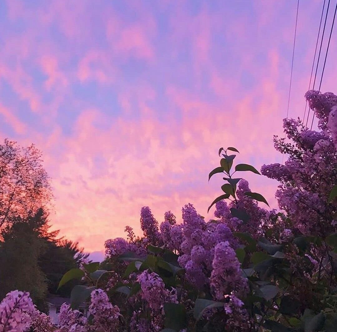 d i s p a t c h 🪩 tweet media