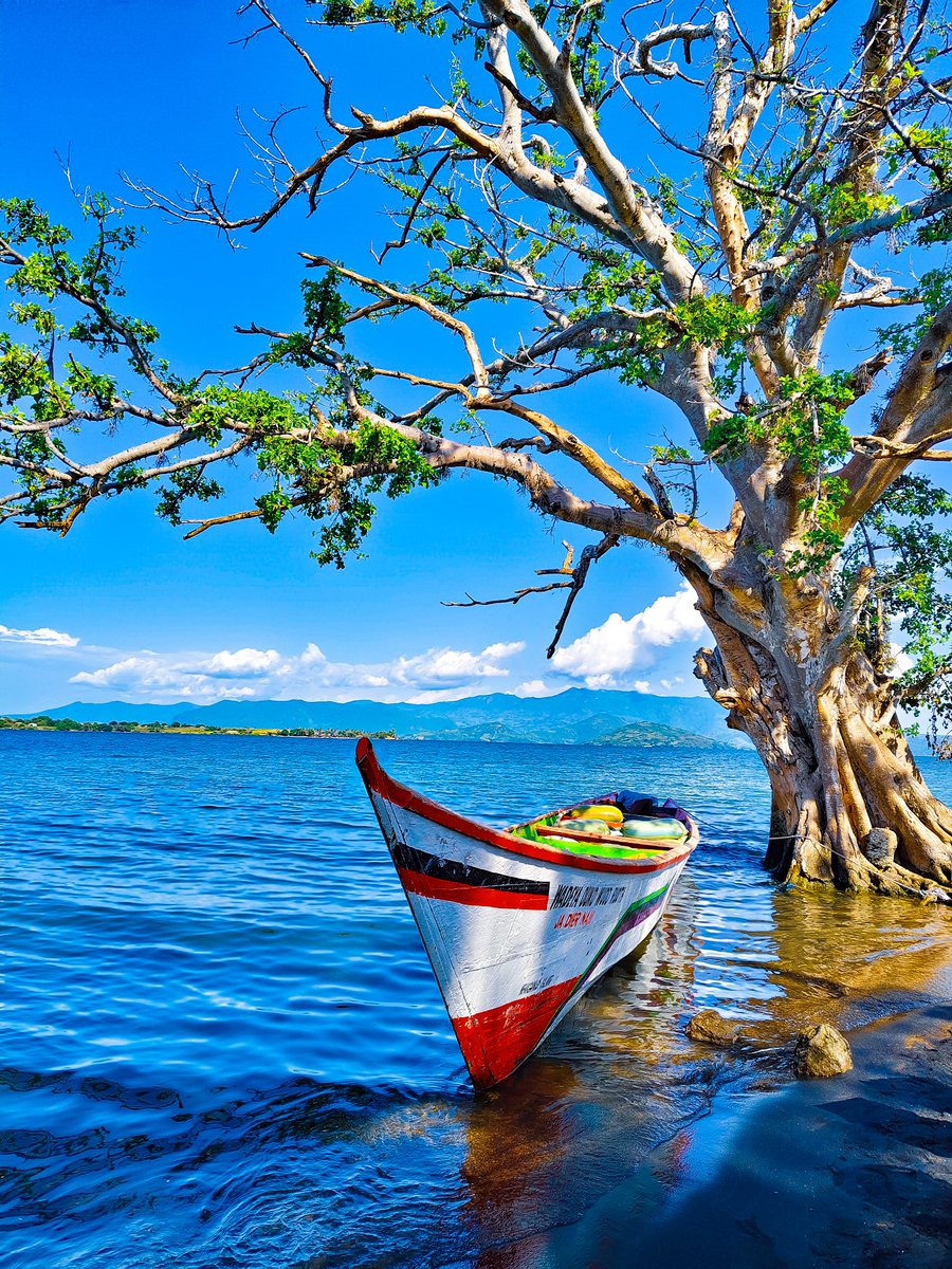 Msafiri Afrika tweet media