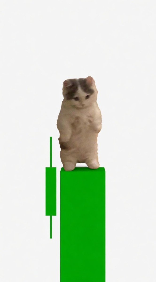 𝐍𝐨𝟗𝐭𝐨𝟓𝐩𝐚𝐲𝐜𝐡𝐞𝐱 tweet media