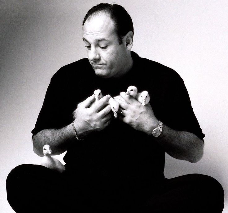 kev joon tweet media