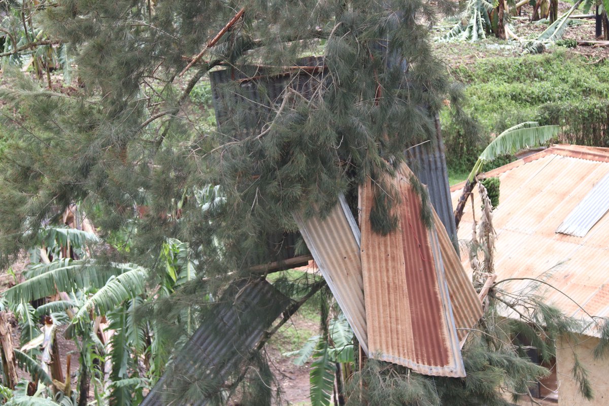 Heavy rains have brought havoc in Bugamba Village, Bugamba Subcounty ...