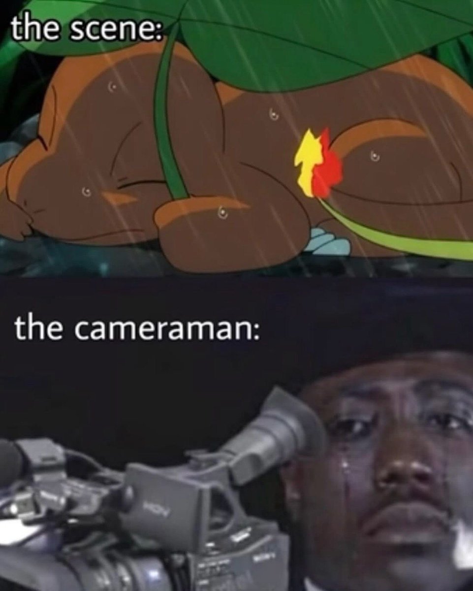 Why everyone loves Pokemon tweet media