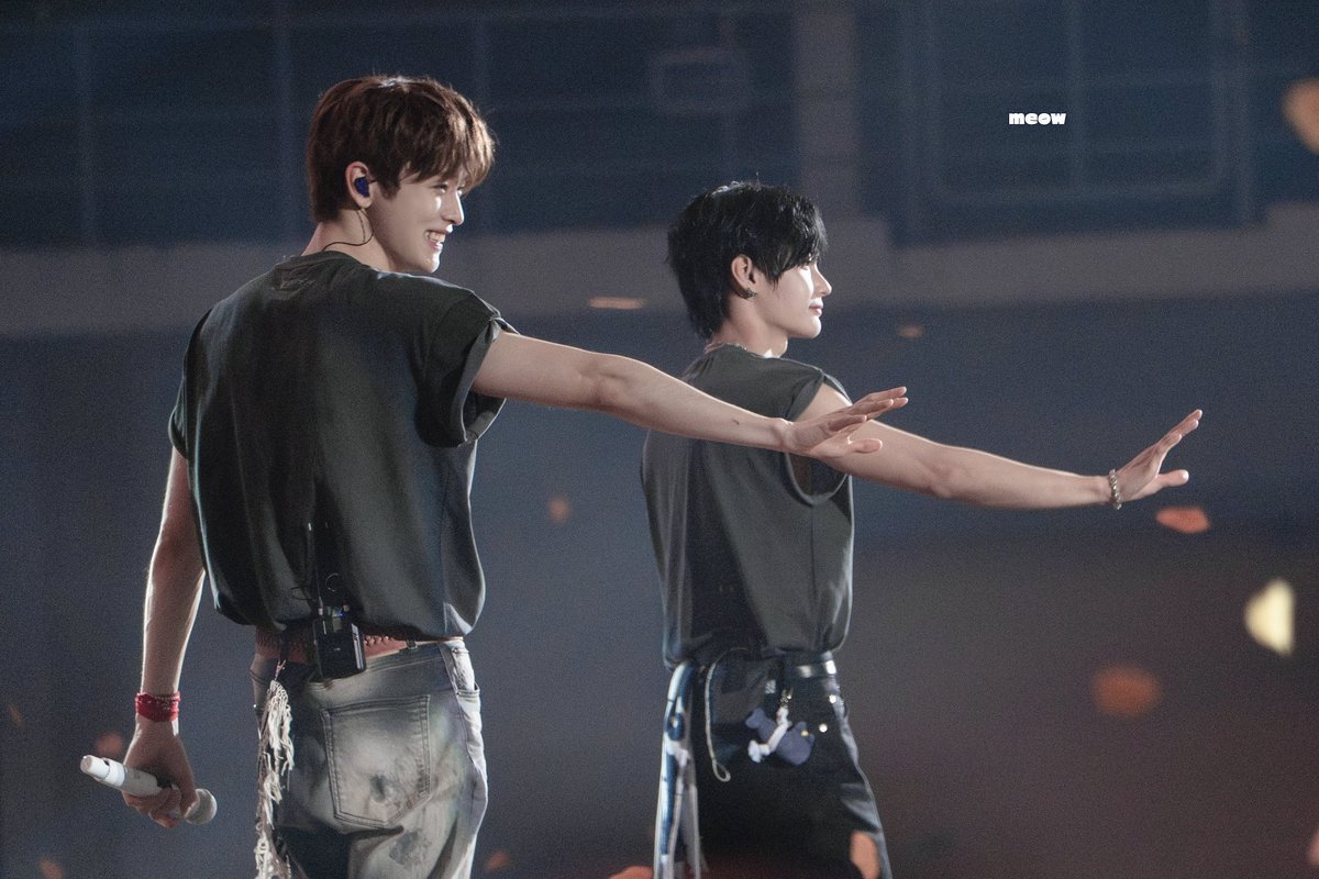 meow🐈‍⬛ tweet media