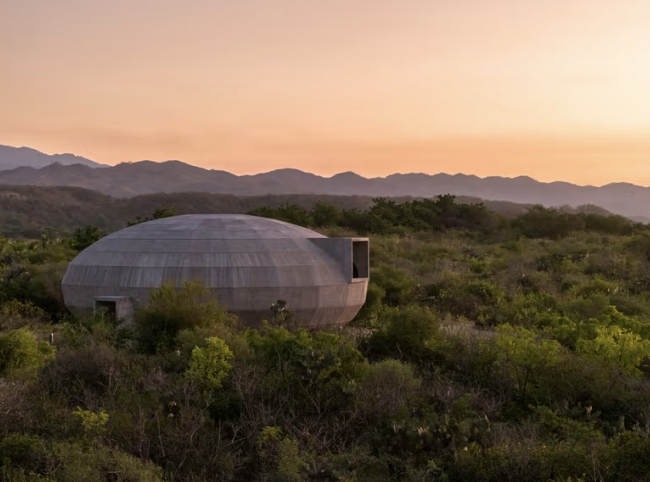 TenderStream tweet media