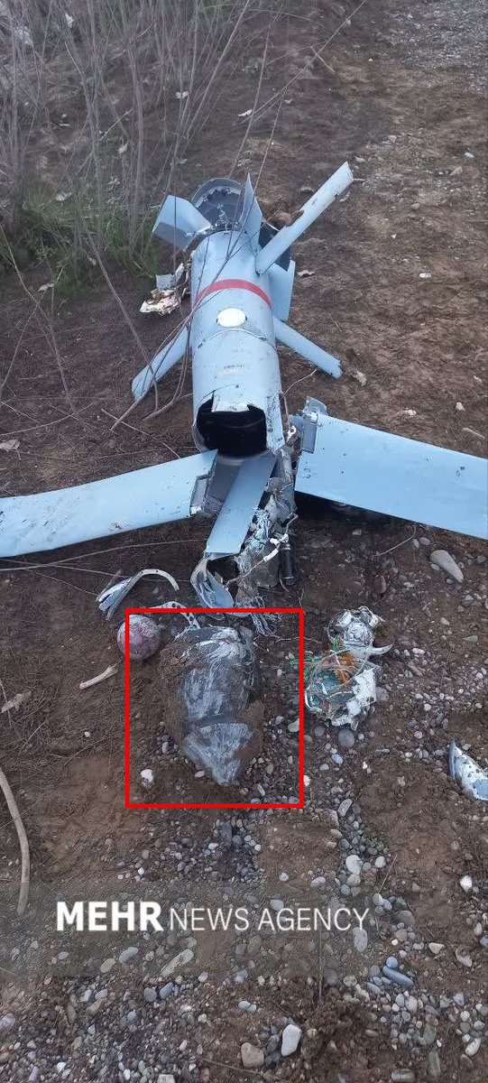 Trevor Ball tweet media