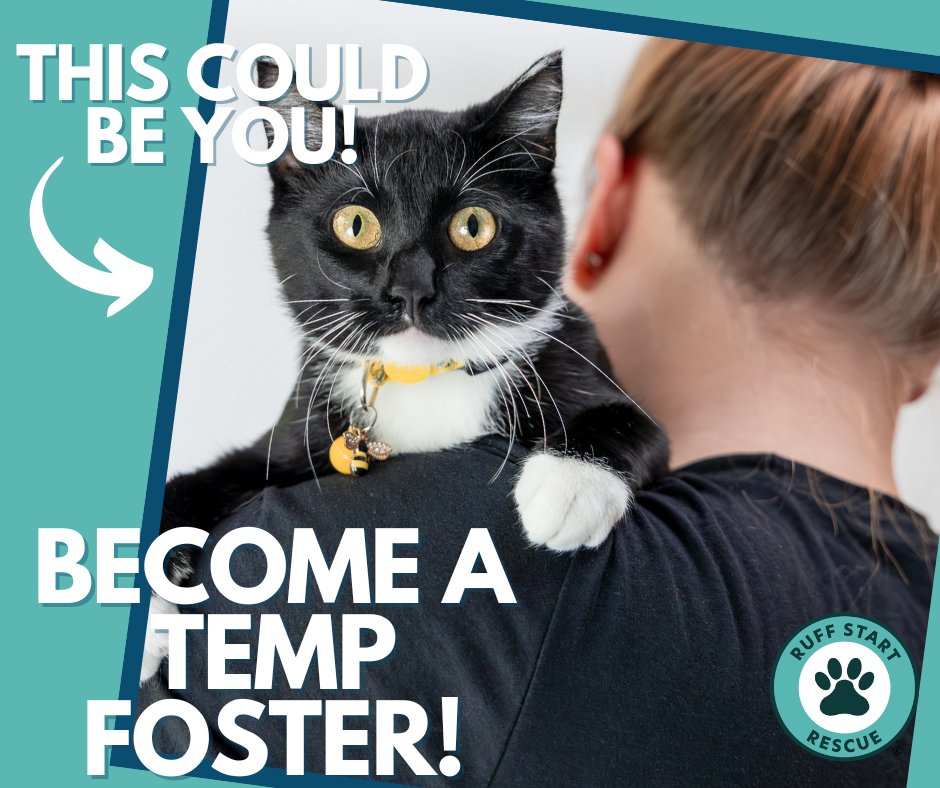 Ruff Start Rescue tweet media