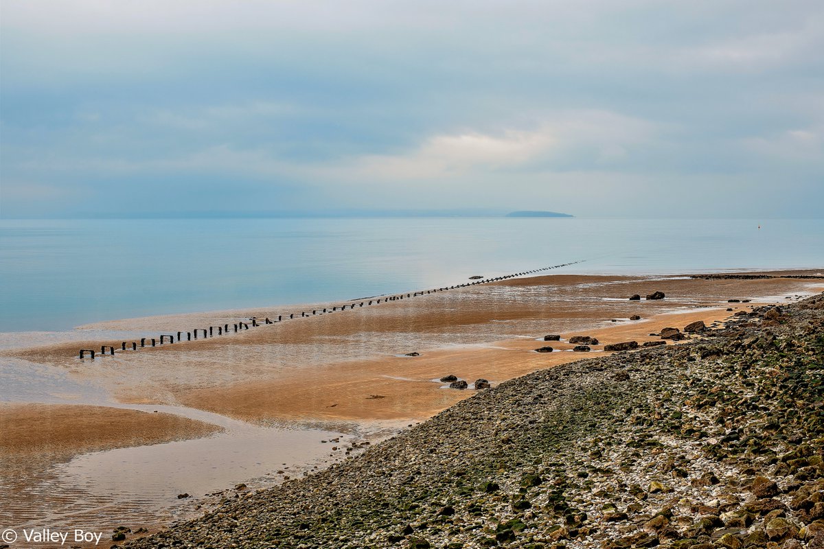 ValleyBoy tweet media