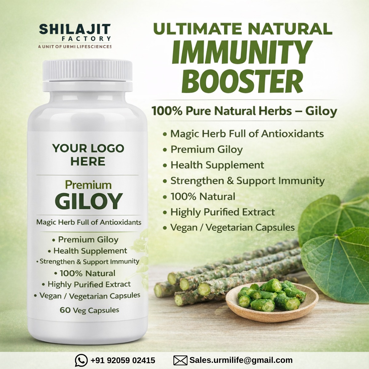 shilajit24979's tweet image. Premium Giloy is a 100% pure natural herbal supplement made using highly purified extract.
#Giloy #NaturalImmunity #HerbalSupplement #AyurvedicHerbs #VeganCapsules
#ImmunitySupport #LifeAveda