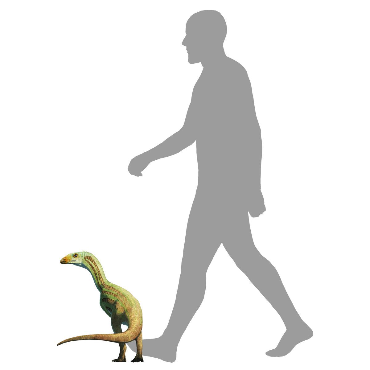 Gabriel N. U. tweet media