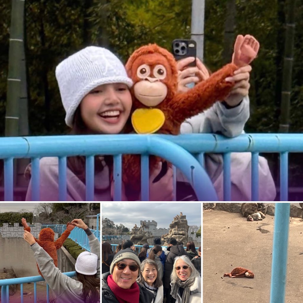 CurtisSChin's tweet image. #Japan 🇯🇵🐒🦧🧸
So… I was not alone in stopping by to see #Punch #PunchtheMonkey when I was visiting Tokyo. Hello Ichikawa! Hello #Lalisa #Lisa! Not to mention #BadBunny &amp;amp; #SiwonChoi too. 

The details here 👉instagram.com/p/DVtcpgJk4vg/…