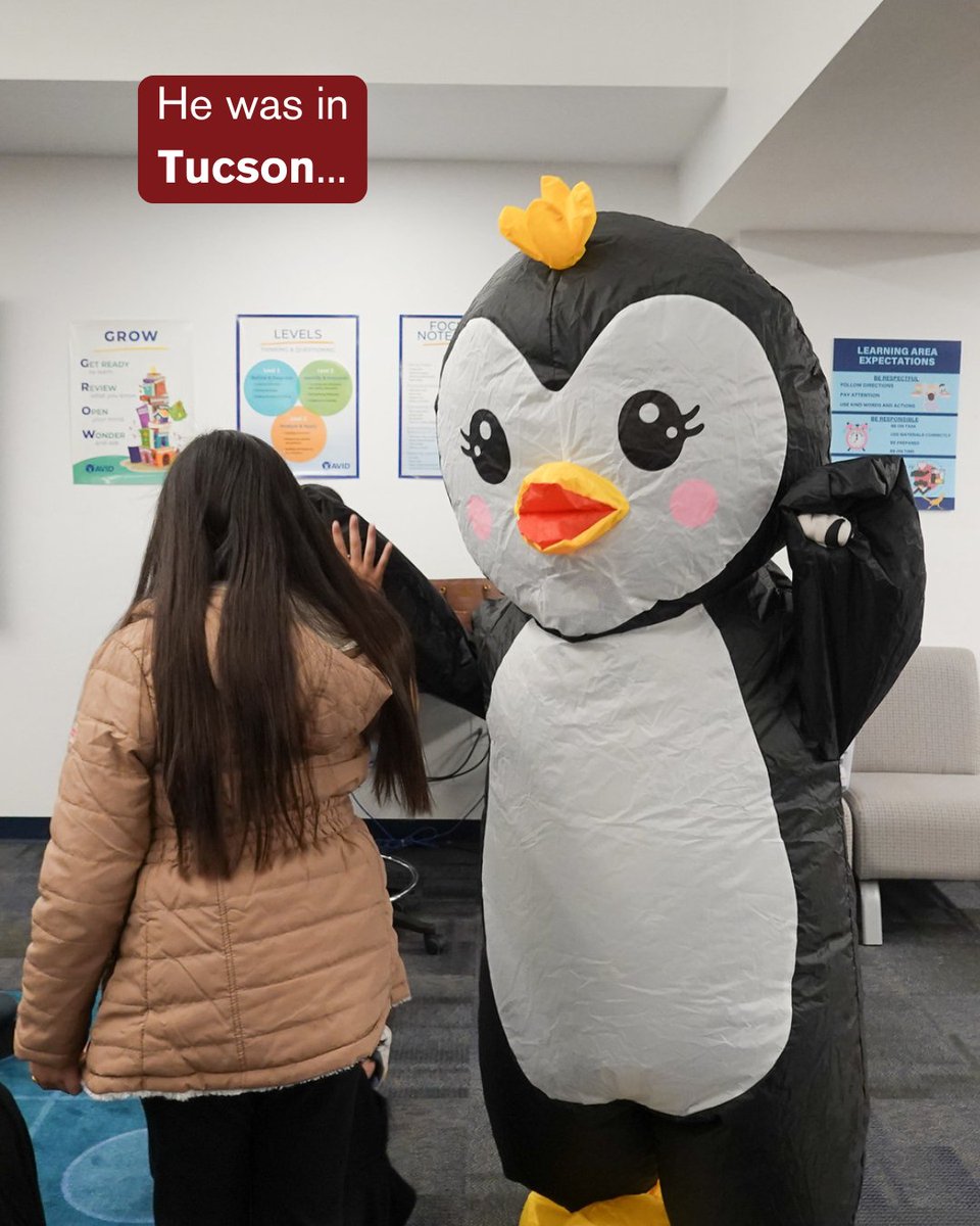 Red Cross Arizona tweet media