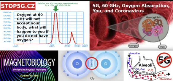 JimmyG4Me's tweet image. WE DO NOT NOR DID WE CONSENT TO BEING RADIATED FOR FASTER SERVICE IN THE ETHERS. GTFOH WITH THIS CRAP. WOW JUST WOW. DO UR RESEARCH BEFORE PROMOTING THINGS THAT KILL  HUMANS. WTF. #GLORY2JESUS WRATH IS COMING. SURE HATE TO BE IN THEM TRANSHUMANIST SHOES. TICK TOCK. #JAMES55 BET