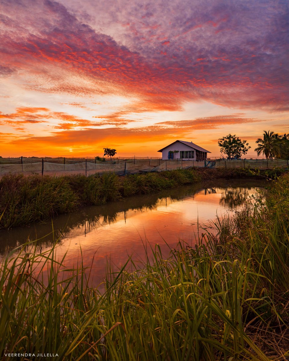 veerendra jillella 🦉 tweet media