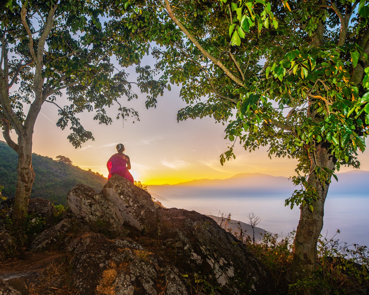 veerendra jillella 🦉 tweet media