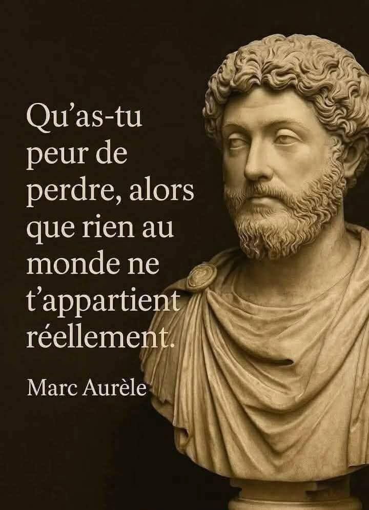 La citation du jour.

– Marc-Aurèle (121-180), empereur et philosophe romain de la dynastie des Antonins, consul en 140, 145 et 161, régnant de 161 à 180.