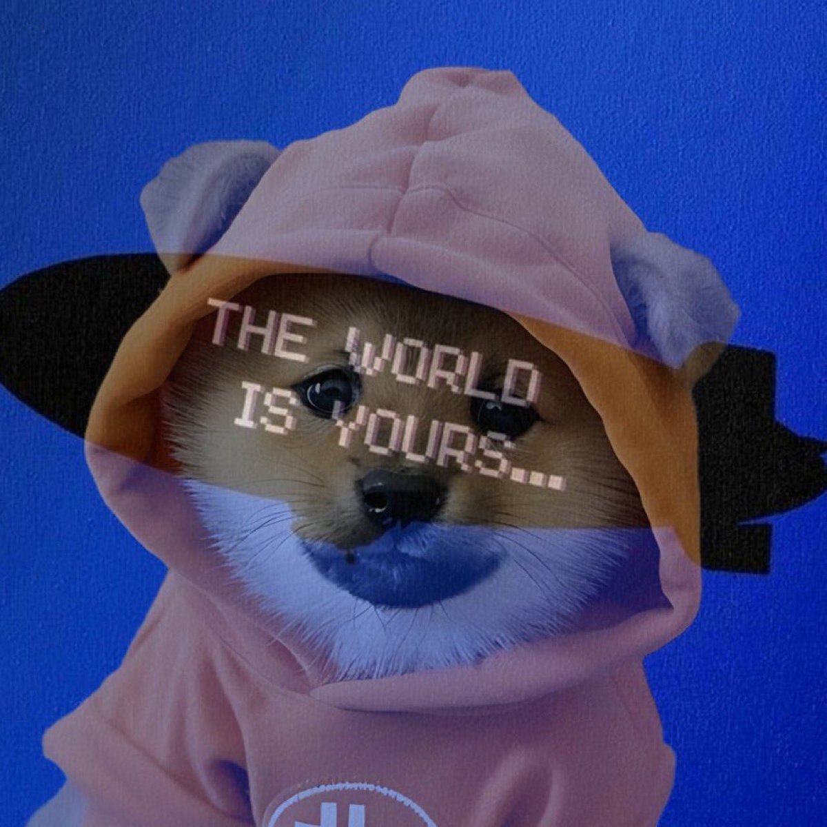 I bought 8 million $DOG these past weeks

Buying off GATE and unloading it off to a wallet.

$DOG WILL HIT 20 billion usd market cap when Bitcoin hits 200k usd

And it’s coming in a few months

You either see it or you don’t.