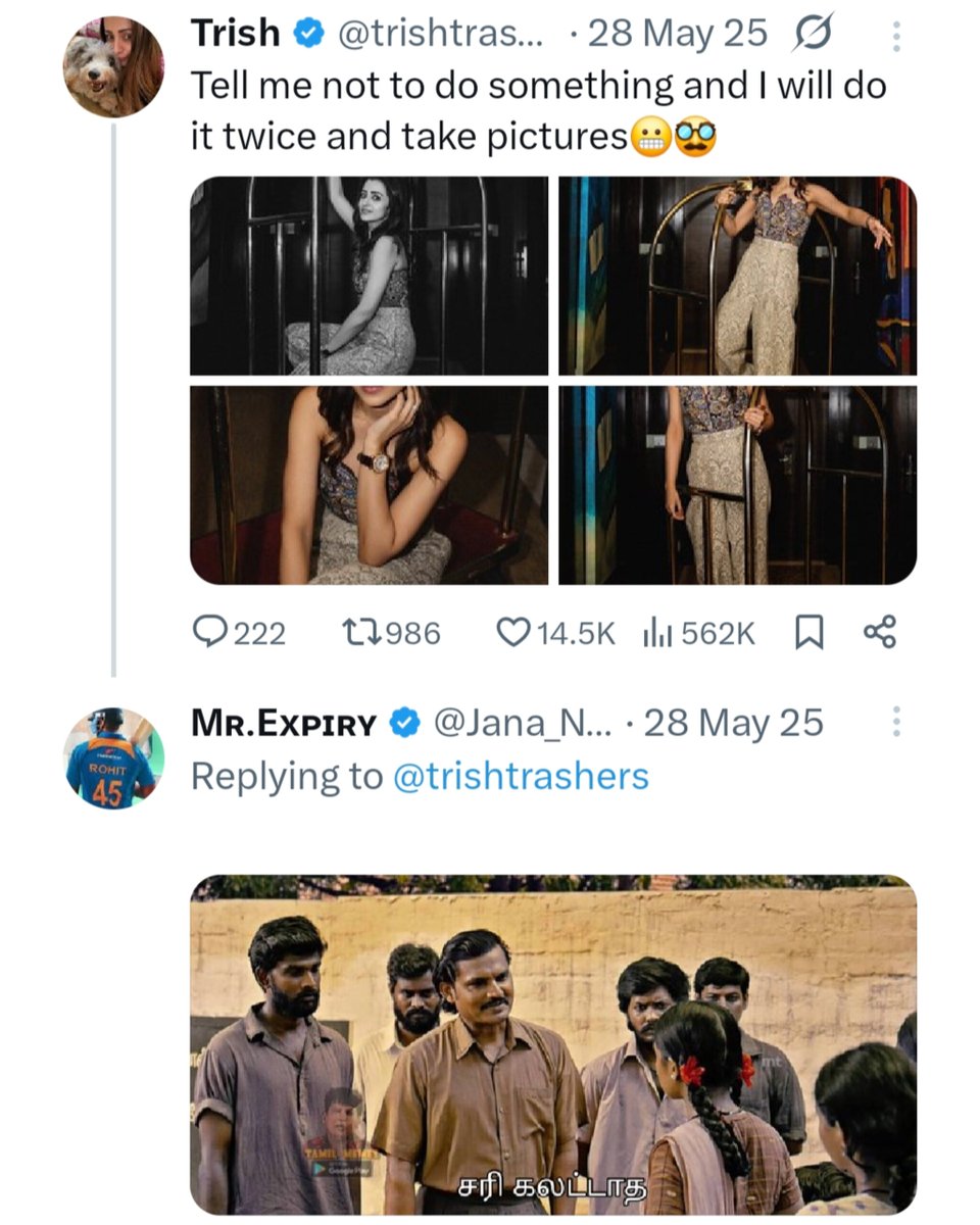 Trollywood 𝕏 tweet media