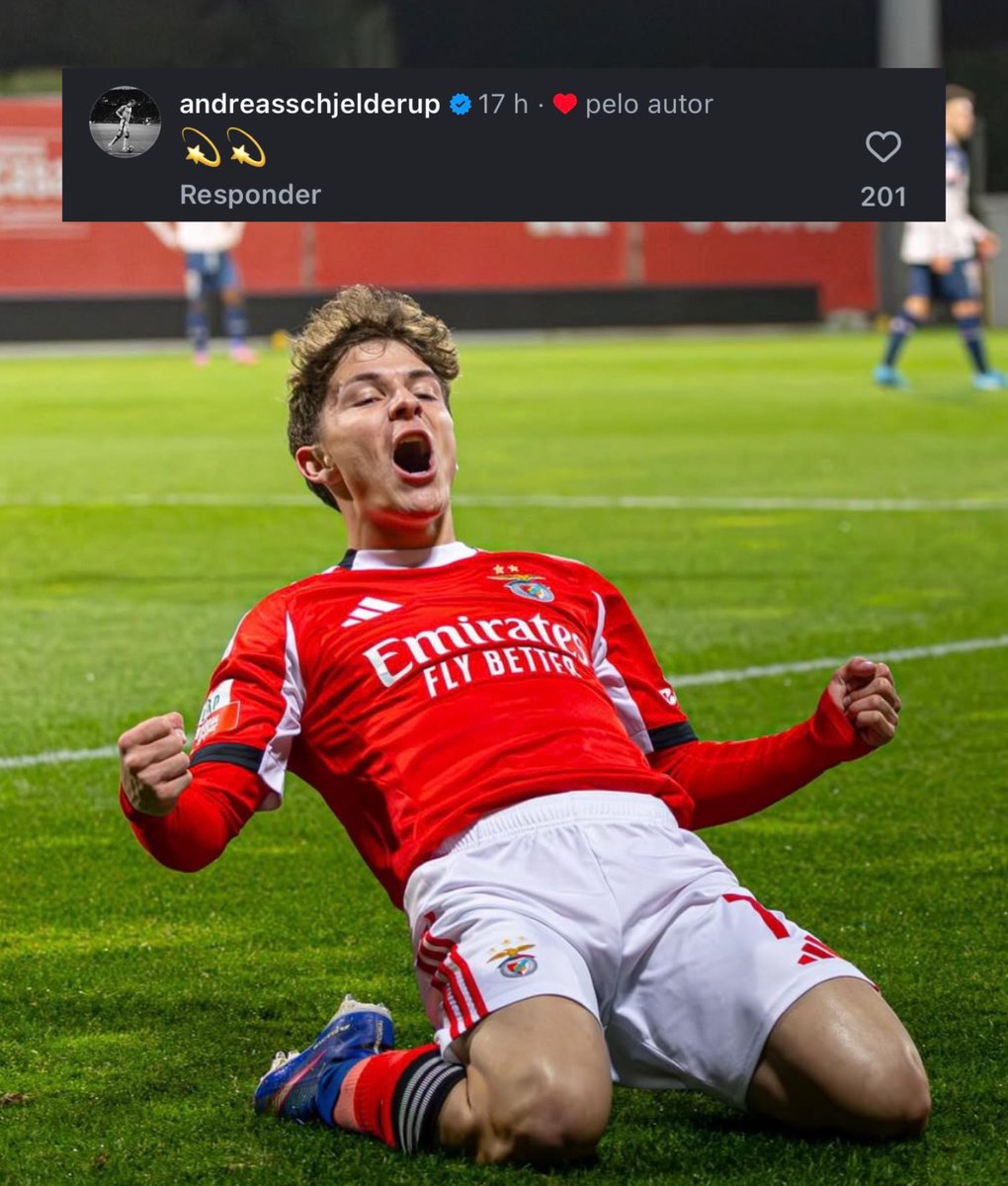 Vai Benfica 🦅 tweet media
