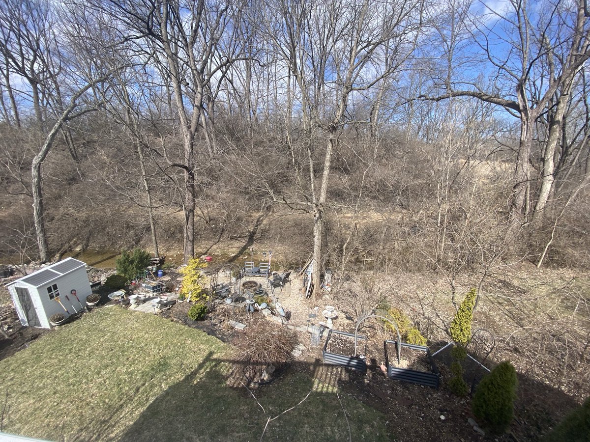 Thomas Seeley tweet media